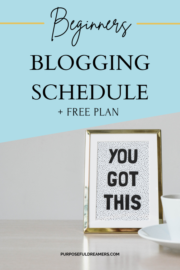 Beginners Blogging Schedule + Free Plan