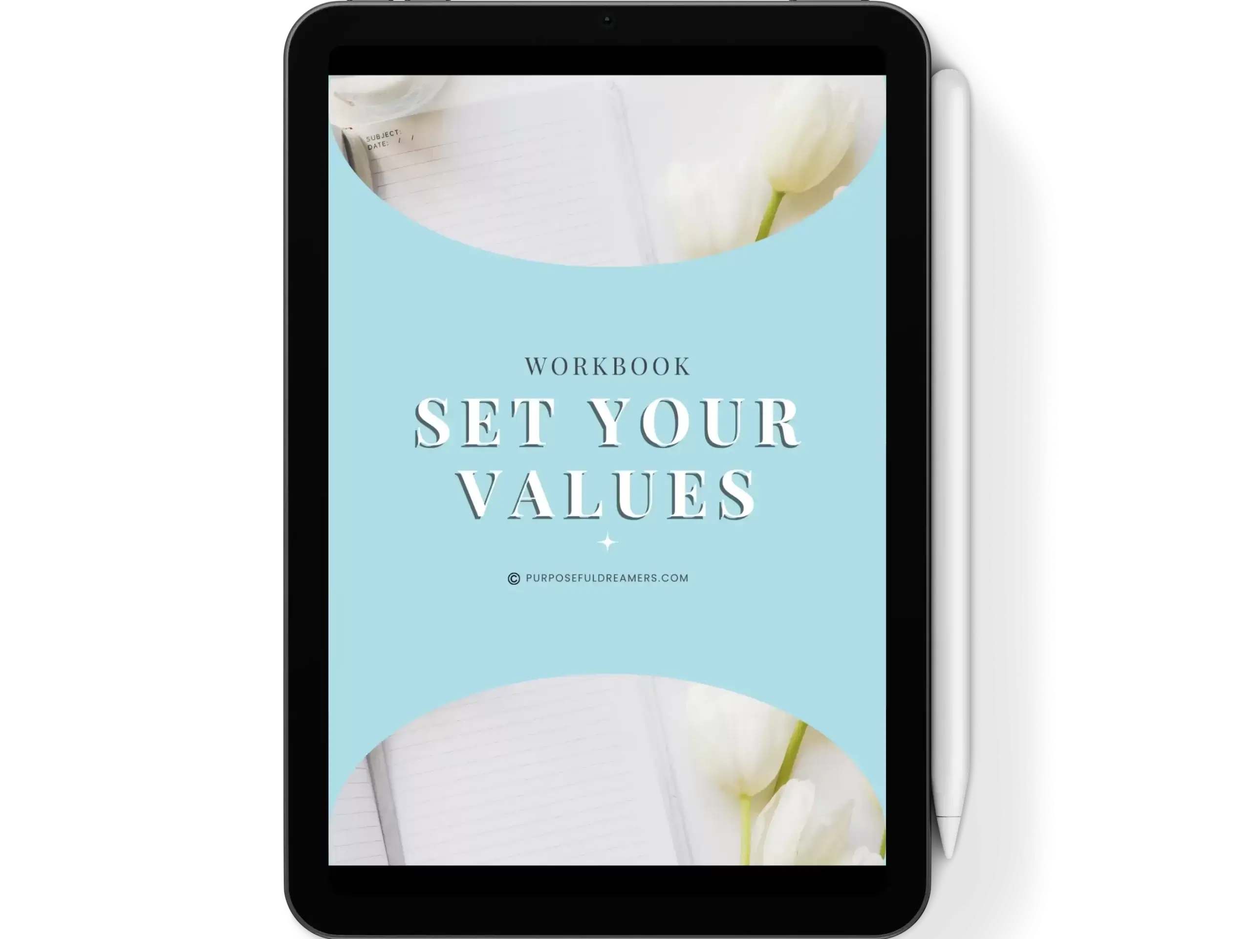 Set Your Values Free Workbook