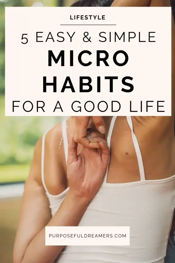 Easy and Simple Micro Habits for A Good Life