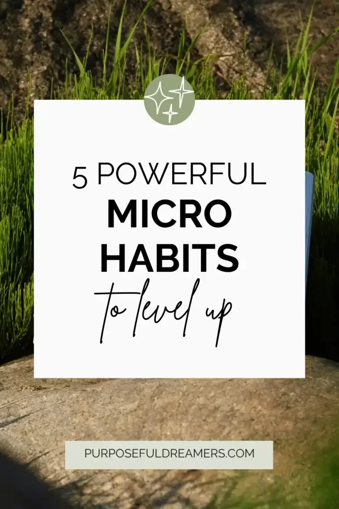 Powerful Micro Habits to Level Up