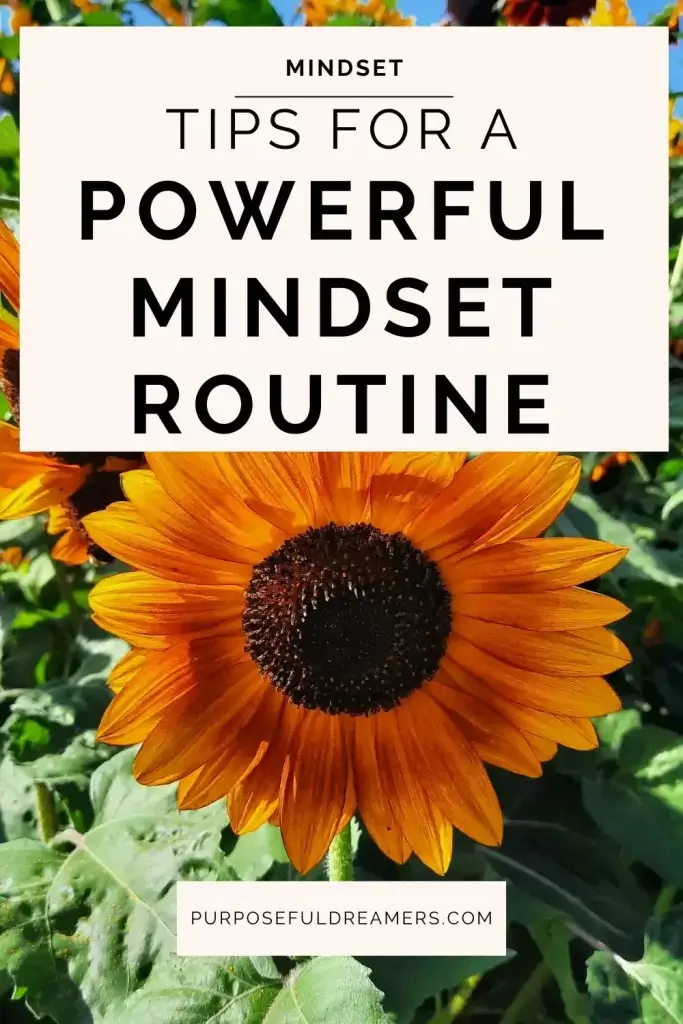 Tips for a Powerful Daily Mindset Routine